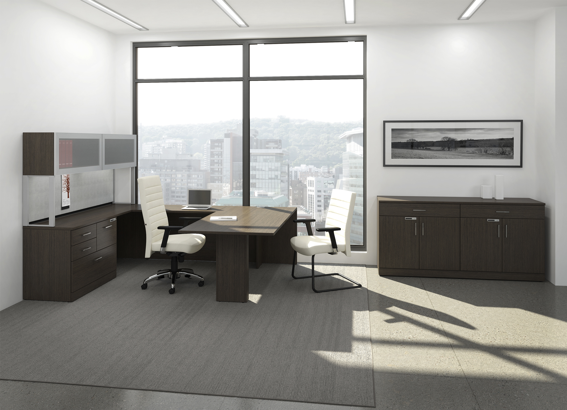 dark wood executive office furniture set 